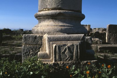 Säulenbasis und architektonisches Element mit einem Storch von Roman